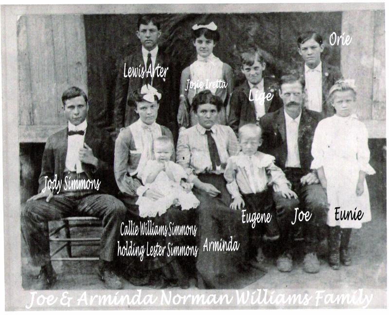 Josiah 'Joe' and Arminda Norman Williams Family