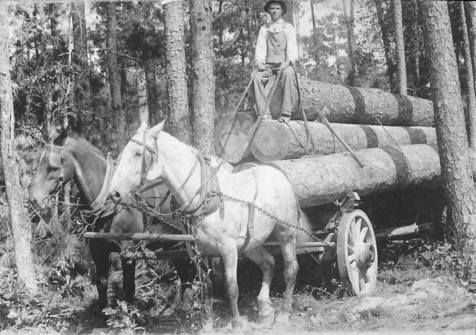 Two Horse Logging Team is located at the Bradley County Historical Museum
