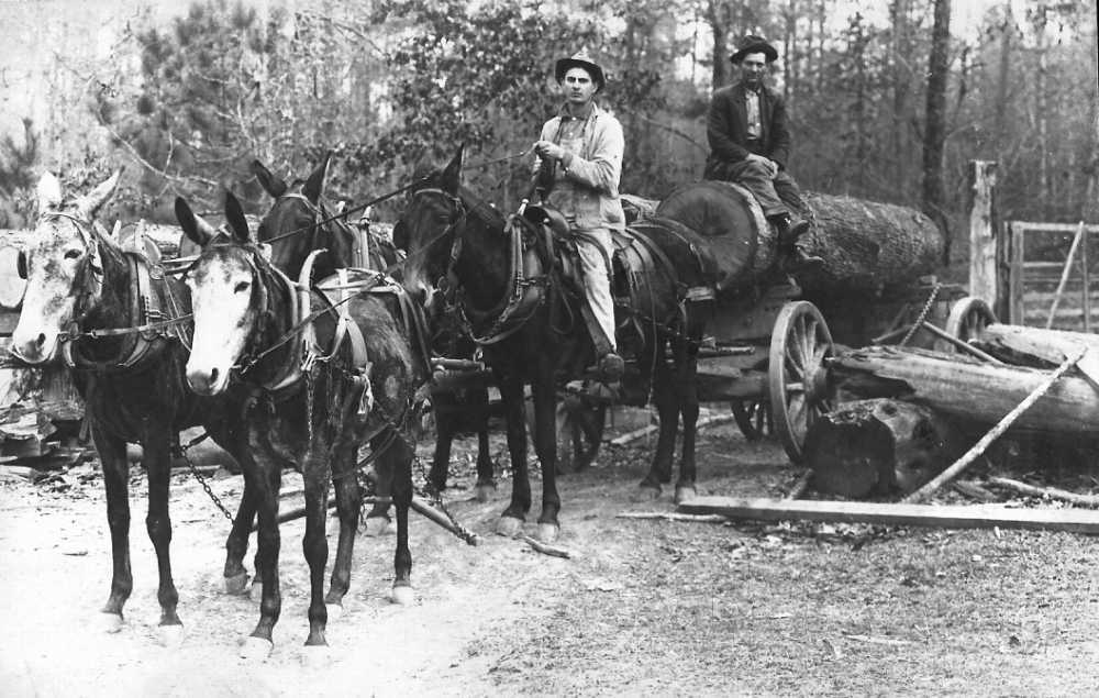 Four Mule Logging Team is located at the Bradley County Historical Museum