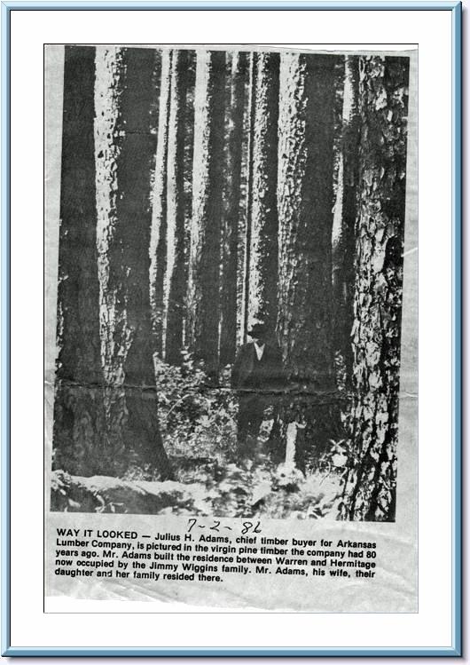 Arkansas Lumber Company virgin pine timber, Bradley County, Arkansas; original is located at the Bradley County Historical Museum