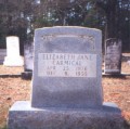 Elizabeth Jane Carmical
