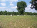 Tolson Cemetery