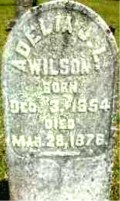 Adelia J. L. Wilson