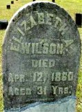 Elizabeth A. Wilson