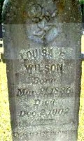 Louisa E. Wilson