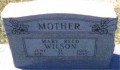 Mary Reed Wilson