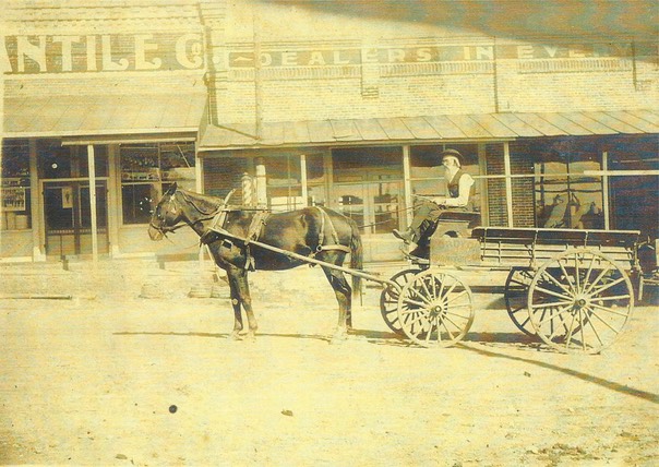 Albert H Owens horse