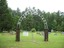Mt. Zion Cemetery