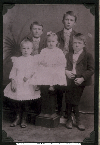 brown3.jpg (154811 bytes)