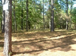 Ashcraft.Cem3.35N.to.CR62.1.5m.L.3.2m.on.CR190.092910