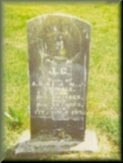 newfriendship-swindlejc.jpg (11868 bytes)