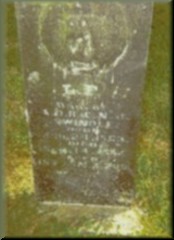 newfriendship-swindlelf.jpg (11305 bytes)