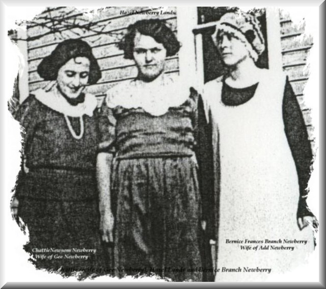 bernicebranchnewberry2.jpg (94984 bytes)