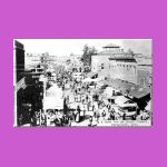 para-ms-busyday1900s500.html