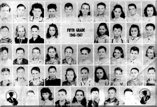 elmwood.jpg (51574 bytes)