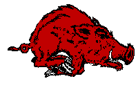Go Hogs ! ! !