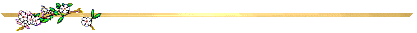 Dividing Line