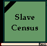 Slave Census Book
