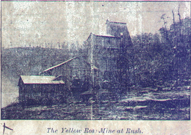 Photo of Yellow Rose mine