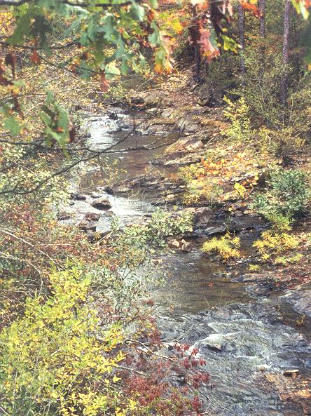 Little Brushy Creek near Oden, Montgomery Co. AR. October 2002.