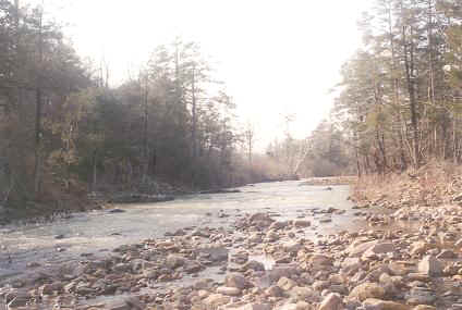 Brushy Creek March 2002. Help save our past for the future!
