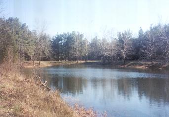 The Old Forester Mill Pond. December 2002