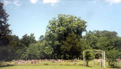 Owley Cemetery, June 2000