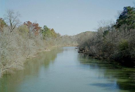 Ouachita River at Pine Ridge.