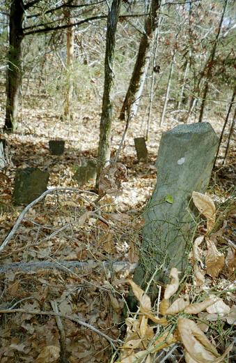 The Old Wilhite Cemetery on a knoll east of Pine Ridge, Nov. 2006.