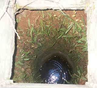 Same well. This hand dug well is in the middle of a farmer's field down Brushy Rd, Oden always has water.