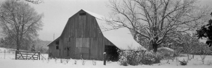 The Whitehouse barn near Oden. Brushy Rd, Oden (back view)1997. 