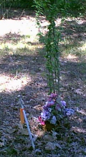 Dawson Cemetery, Pulaski County, Arkansas
