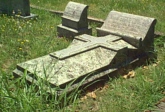 Annie Sophie Lawler, Pulaski County, Arkansas
