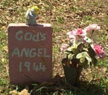 God's Angel, Pulaski County, Arkansas