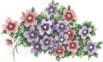 Pink-PurpleWatercolorBlooms2