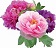 Multi-Peonies sm