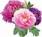 Multi-Peonies sm R