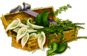 Calla Lillies.gif