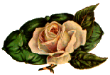 flower28.gif