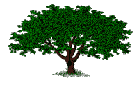 Tree 05