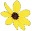Blackeyed Susan sm
