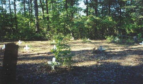 http://www.rootsweb.ancestry.com/~arcemete/union/poolecem.jpg