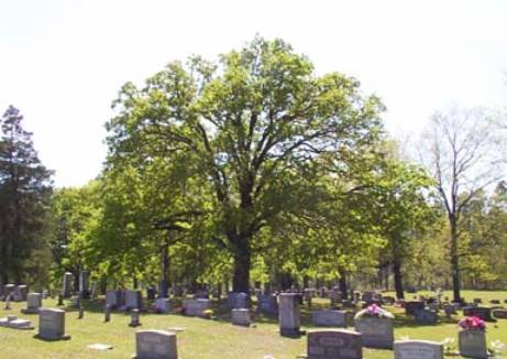 10Old Parkers Chapel  Cem 010