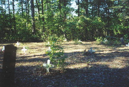 Cemetery view