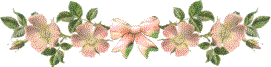 Dog Wood Blossoms