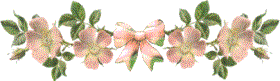 Dog Wood Blossoms