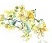 wee yellow Flowers L.jpg