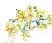 wee yellow Flowers R.jpg