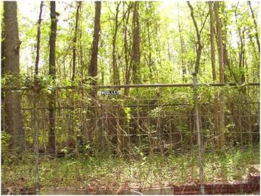 Wooley Cemetery  03.jpg