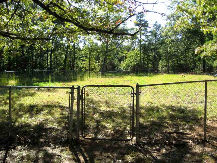 Low Gap Cemetery gate, Van Buren County, Arkansas